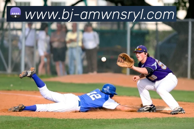 威尼斯人官网服务体系